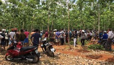 Đã xác định nghi can sát hại dã man 2 bố con trong rừng