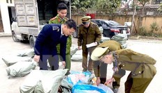 Hai tấn nầm lợn nhập lậu bốc mùi hôi thôi suýt lên bàn nhậu