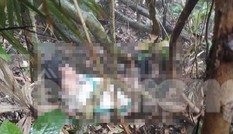Phát hiện thi thể người đàn ông sau 10 ngày mất tích