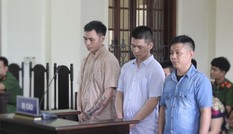 Mua 15 kg ma túy với giá 78.000 USD, 3 đối tượng lĩnh án