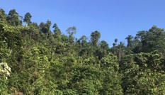 Sở Công thương Nghệ An chậm phản hồi chỉ đạo của Phó chủ tịch tỉnh