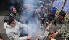 Rét đậm, rét hại liên tục kéo về, tỉnh Nghệ An ra công điện ứng phó