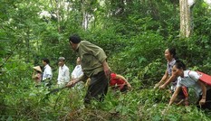 Nghệ An đề nghị cấp hơn 11 tấn gạo hỗ trợ hộ nghèo chăm sóc, bảo vệ rừng