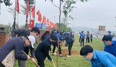 Hà Tĩnh ra quân tháng Thanh niên và Tết trồng cây