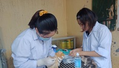Trạm cứu hộ động vật phi lợi nhuận của 25 bạn trẻ