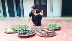 Cô gái bỏ phố về quê sống tối giản, gần thiên nhiên