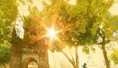 Nhiệt giảm nhẹ, chiều tối có mưa rào và dông vài nơi