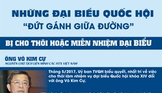 Những đại biểu Quốc hội 'đứt gánh giữa đường'