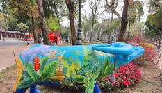 Trâu nghệ thuật 'xuống phố' khiến người dân Thủ đô tò mò thích thú
