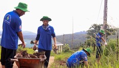 Rầm rộ tuyển quân cho "Mùa Hè Xanh"