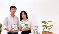 Giấc mơ đưa bơ Việt ra thế giới