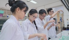 Chế viên nang giảm cân, hạ mỡ từ quả bưởi non