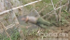 Phát hiện thi thể người đàn ông dưới đám ruộng