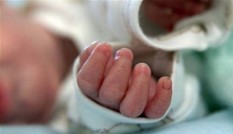 Phát hiện thi thể 2 bé gái sơ sinh trong thùng rác