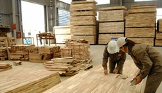 Vụ doanh nghiệp gỗ kêu cứu: Tạm cho xuất khẩu thuế suất 0%