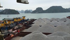 Ách tắc hàng hóa tại cảng Cẩm Phả: Hàng loạt doanh nghiệp cầu cứu Chính phủ