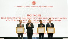 Siêu ủy ban phải để doanh nghiệp tự chủ, không can thiệp vào công việc của doanh nghiệp