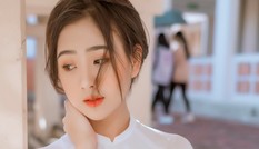 Xao xuyến trước vẻ đẹp tinh khôi của bông hồng xứ Nghệ