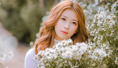 Ngẩn ngơ nét đẹp “nàng thơ” trong bộ ảnh cúc họa mi trắng