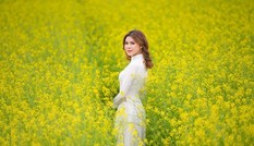 Nữ sinh Kinh Công đẹp dịu dàng giữa cánh đồng hoa cải vàng rực rỡ