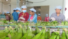 Việt Nam tăng đầu tư mạnh vào Ấn Độ