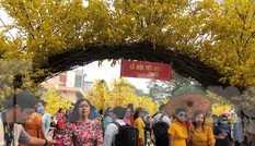 TPHCM: Người dân đông đúc ngồi cà phê, đi hội hoa 'bỏ qua' khẩu trang phòng bệnh