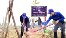 'Ngày thanh niên cùng hành động' thực hiện 1.500 công trình, phần việc