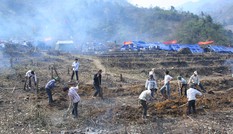 Chuyện kể ở "cánh đồng ma"