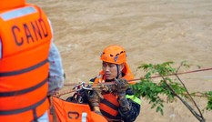 Cảnh sát đu dây giải cứu 41 người bị lũ 'vây' ở Lạc Dương