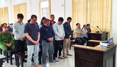 Băng nhóm giết người phi tang xác trên đèo lãnh án