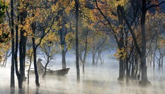 Người trẻ phát ‘sốt’ với du lịch tại chỗ: Săn mây, ngắm lá phong
