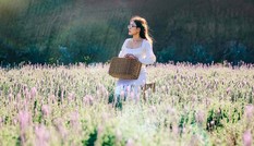 Bạn trẻ đến Đà Lạt ngắm đồi hoa oải hương thơm ngát, đẹp tựa trời Âu