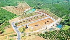Công an vào cuộc điều tra vụ phân lô bán đất nông nghiệp ở Bảo Lộc
