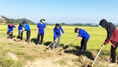 Lâm Đồng - Đắk Nông: Hàng tỉ đồng cho các công trình, phần việc thanh niên