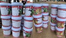 Phân bón giả, hàng lậu xuất hiện dịp cuối năm