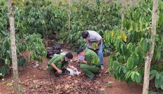 Đắk Nông: Tìm con trai bỏ trốn, sau khi mẹ chết trên rẫy