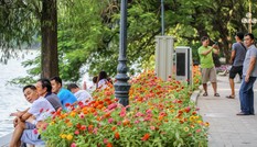 Cận cảnh 'vườn hoa' mới rực rỡ bên bờ hồ Hoàn Kiếm