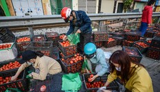 Người dân Thủ đô nườm nượp đến 'giải cứu' nông sản cho Hải Dương