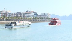 Miễn phí tàu cao tốc đưa 283 công dân ra đảo ăn Tết