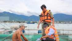 Khánh Hoà chạy đua ứng phó trước giờ 'cuồng phong' số 12 đổ bộ