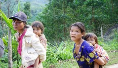 Sạt lở ở Quảng Nam nghiêm trọng nhất trong nhiều năm