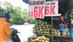 Thị trường ngày 30/10: Sự thật dừa xiêm 6000đ/quả, kẹo sâm chứa chất kích dục bán tràn lan