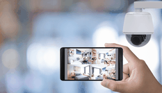 Thị trường 9/1: Lan đột biến 5,5 tỉ đồng, cảnh giác với camera an ninh giá rẻ