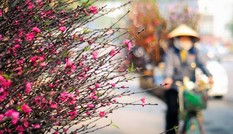 Miền Bắc hửng nắng trước khi gió mùa về