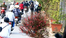 Cả nước đón nắng ấm