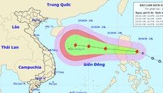 Bão số 8 hướng vào miền Trung: Mưa trên diện rộng