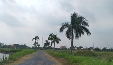 Một năm doanh nghiệp tiếp thanh tra... 138 lần