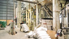 Tạm dừng xuất khẩu gạo là cần thiết