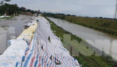 Đoạn đê sạt lở trong thời gian bảo hành: Diễn biến phức tạp, lên phương án di dân