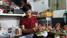 Khởi nghiệp từ 50 nghìn đồng, biến hóa dây đồng thành bonsai nghệ thuật